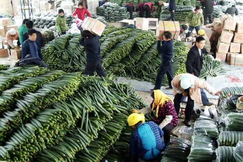 沂南县 织密农产品质量安全管理网